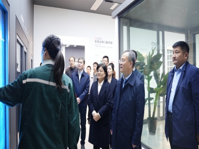 省工信廳總工程師、二級(jí)巡視員孫京軍一行 蒞臨卓越精工調(diào)研指導(dǎo)